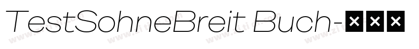 TestSohneBreit Buch字体转换